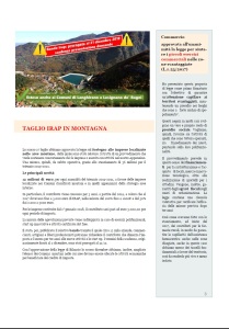 rendiconto pag3
